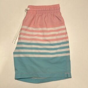 Chubbies Men’s 5.5in Swim Trunks | Medium